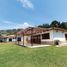 4 Habitación Casa en alquiler en La Union De Sucre, Antioquia, La Union De Sucre