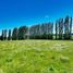  Terreno (Parcela) en venta en Chile, Puerto Varas, Llanquihue, Los Lagos, Chile