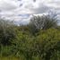  Land for sale in Silao, Guanajuato, Silao