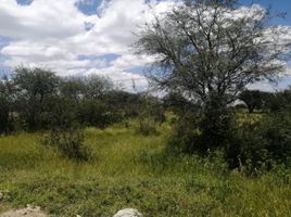  Land for sale in Silao, Guanajuato, Silao
