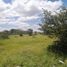  Land for sale in Silao, Guanajuato, Silao