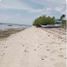  Land for sale in Cebu Central Visayas, Madridejos