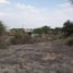  Terreno (Parcela) en venta en Piura, Piura, Piura, Piura