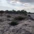  Terreno (Parcela) en venta en Piura, Piura, Piura, Piura