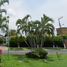 6 Habitación Villa en venta en Temixco, Morelos, Temixco