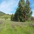  Land for sale in Chile, Lolol, Colchagua, Libertador General Bernardo Ohiggins, Chile