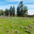  Land for sale in Chile, Lolol, Colchagua, Libertador General Bernardo Ohiggins, Chile