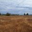  Land for sale in Chile, San Clemente, Talca, Maule, Chile