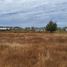  Land for sale in Chile, San Clemente, Talca, Maule, Chile
