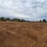  Land for sale in Chile, San Clemente, Talca, Maule, Chile