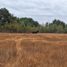  Land for sale in Chile, San Clemente, Talca, Maule, Chile