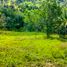  Land for sale in Central Visayas, Cebu City, Cebu, Central Visayas