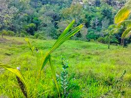  Land for sale in Central Visayas, Cebu City, Cebu, Central Visayas