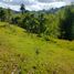  Land for sale in Central Visayas, Cebu City, Cebu, Central Visayas
