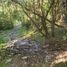 Land for sale in Chile, Valdivia, Valdivia, Los Rios, Chile