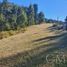  Land for sale in Chile, Valdivia, Valdivia, Los Rios, Chile