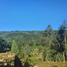  Land for sale in Chile, Valdivia, Valdivia, Los Rios, Chile