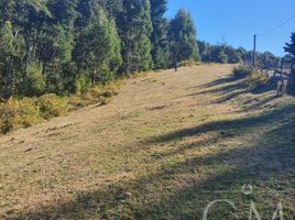  Land for sale in Chile, Valdivia, Valdivia, Los Rios, Chile