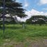  Terreno (Parcela) en venta en Calamba City, Calabarzon, Calamba City, Laguna, Calabarzon, Filipinas