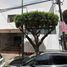 5 Habitación Casa en venta en Miguel Hidalgo, Ciudad de México, Miguel Hidalgo