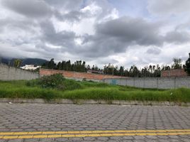  Terreno (Parcela) en venta en Imbabura, San Miguel De Ibarra, Ibarra, Imbabura