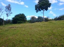  Land for sale in Alangasi, Quito, Alangasi