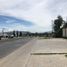 31 m² Office for rent in México, Jilotepec, México, México