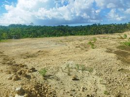  Grundstück zu verkaufen in Bohol, Central Visayas, Tagbilaran City