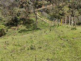  Terreno (Parcela) en venta en Guarne, Antioquia, Guarne