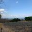  Land for sale in Poncitlan, Jalisco, Poncitlan