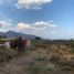  Grundstück zu verkaufen in Poncitlan, Jalisco, Poncitlan, Jalisco
