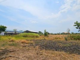  Land for sale in Pasuruan, East Jawa, Rembang, Pasuruan