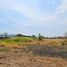  Land for sale in Rembang, East Jawa, Rembang, Pasuruan