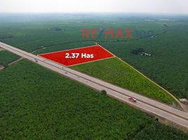  Land for sale in El Guabo, El Oro, El Guabo, El Guabo