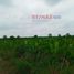  Land for sale in El Guabo, El Oro, El Guabo, El Guabo