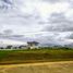  Terreno (Parcela) en venta en Calamba City, Calabarzon, Calamba City, Laguna, Calabarzon, Filipinas