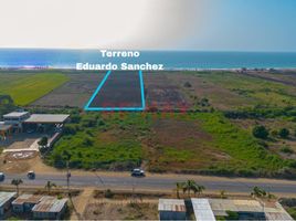  Terreno (Parcela) en venta en Tumbes, La Cruz, Tumbes, Tumbes