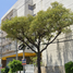3 Habitación Apartamento en venta en Cuauhtemoc, Ciudad de México, Cuauhtemoc