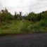  Land for sale in Bangli, Bali, Kintamani, Bangli