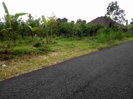  Land for sale in Kintamani, Bangli, Kintamani