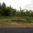  Land for sale in Bangli, Bali, Kintamani, Bangli