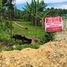  Terrain for sale in Tagbilaran City, Bohol, Tagbilaran City