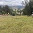  Land for sale in Cumbe, Cuenca, Cumbe