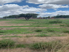  Land for sale in Pabellon De Arteaga, Aguascalientes, Pabellon De Arteaga