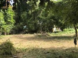  Land for sale in Mabini, Batangas, Mabini