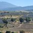  Land for sale in Tequila, Jalisco, Tequila