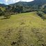 Terrain à vendre à El Carmen De Viboral, Antioquia, El Carmen De Viboral