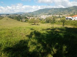 Terrain à vendre à El Carmen De Viboral, Antioquia, El Carmen De Viboral