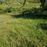 Terrain à vendre à El Carmen De Viboral, Antioquia, El Carmen De Viboral