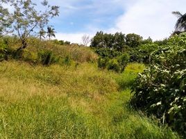  Land for sale in Cavite, Calabarzon, Tagaytay City, Cavite